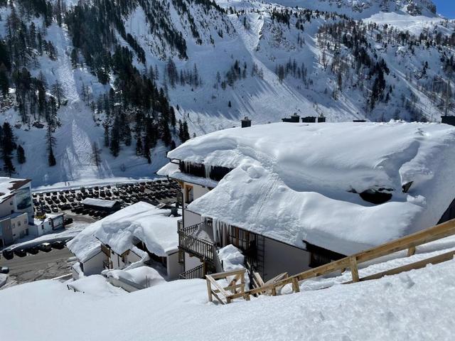 PREMIUM SKI IN/OUT - STEINADLER – billede 2