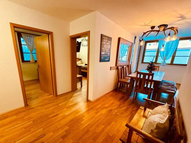 PREMIUM SKI IN/OUT - STEINADLER – billede 4