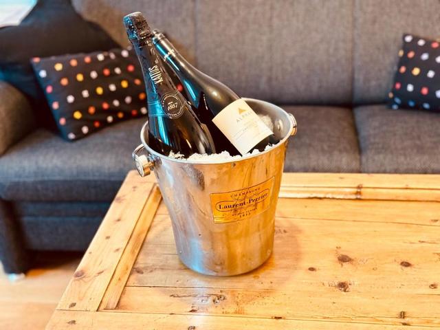 PREMIUM SKI IN/OUT - STEINADLER – billede 7