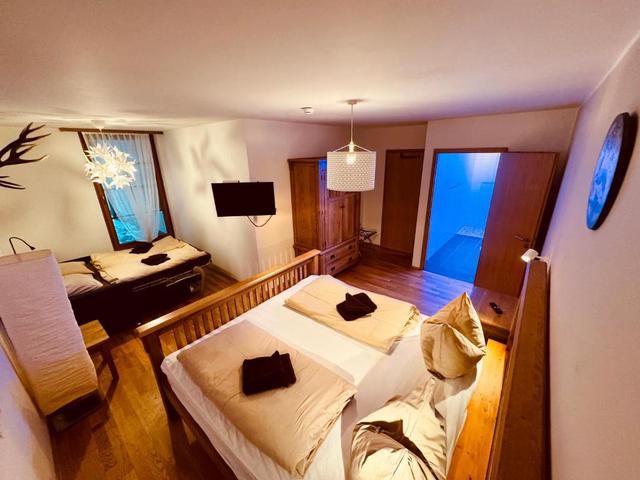 PREMIUM SKI IN/OUT - STEINADLER – billede 21