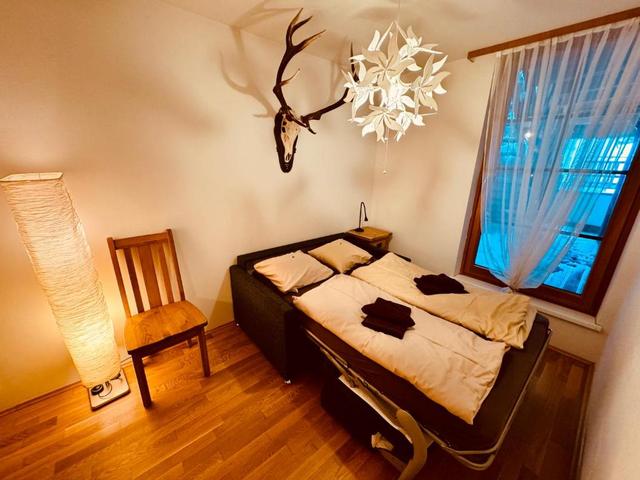 PREMIUM SKI IN/OUT - STEINADLER – billede 24