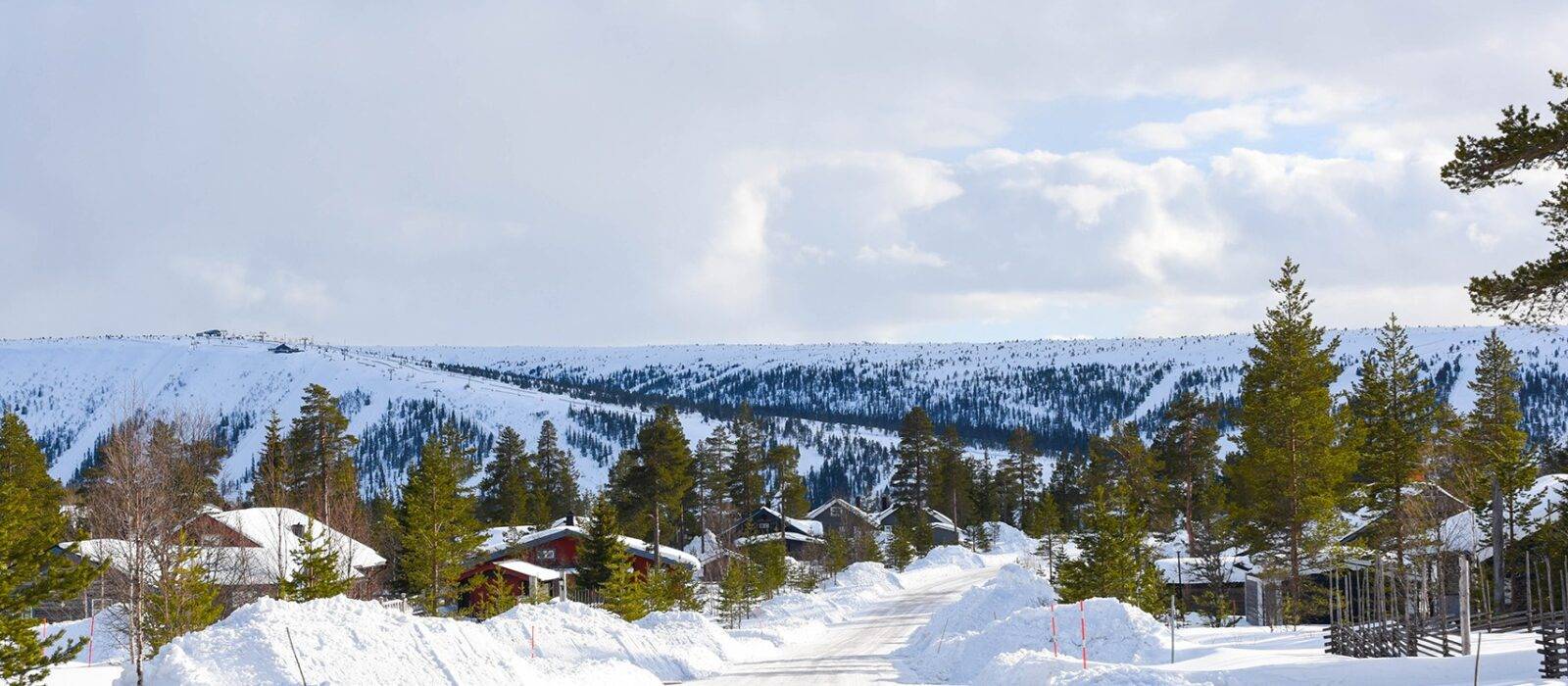 Hållbrändan, Sälen
