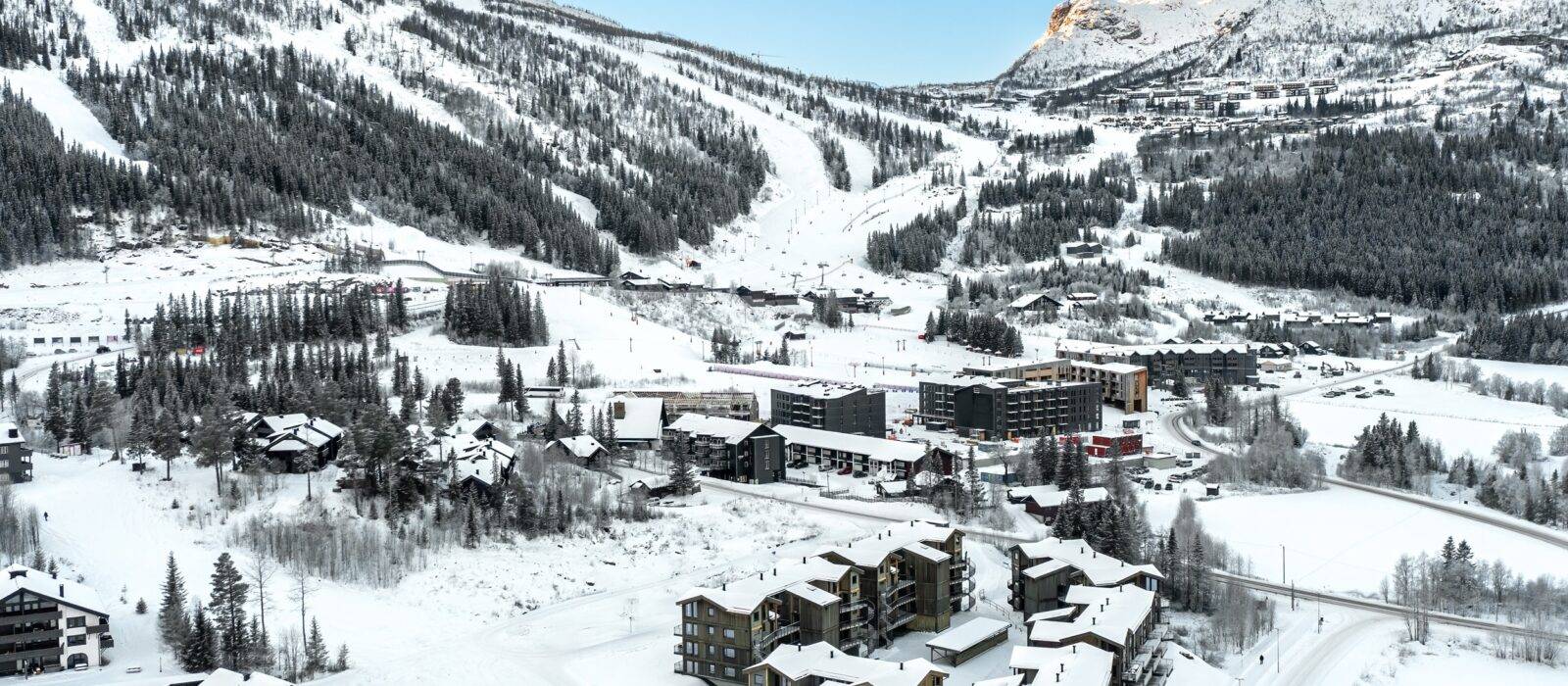 Fjellnest, Hemsedal