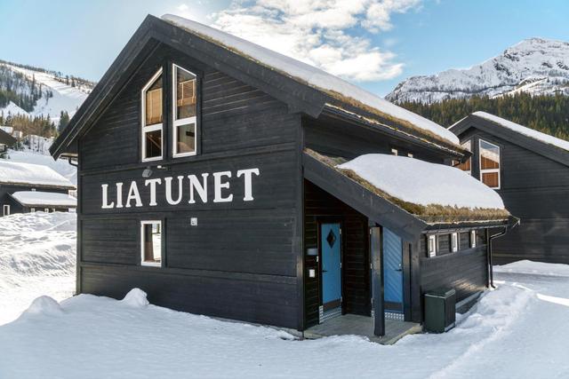 Liatunet – billede 6