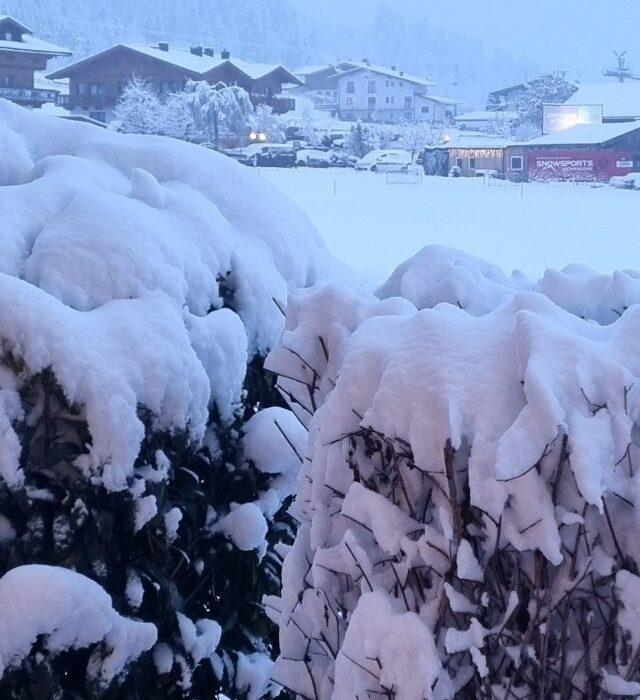 Therese Sportpension – bild 13