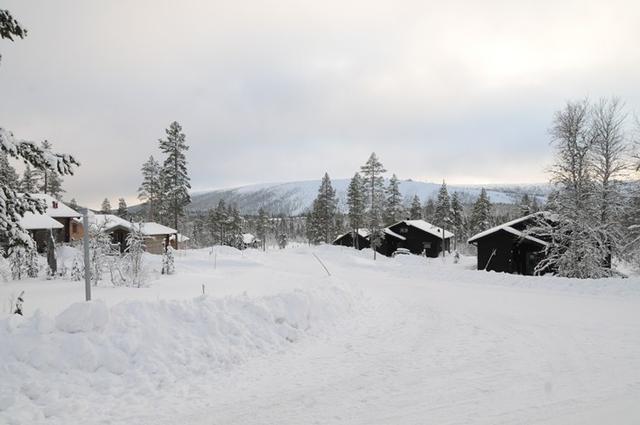 Orrliden