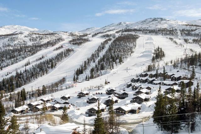 Veslestølen A og B – billede 5