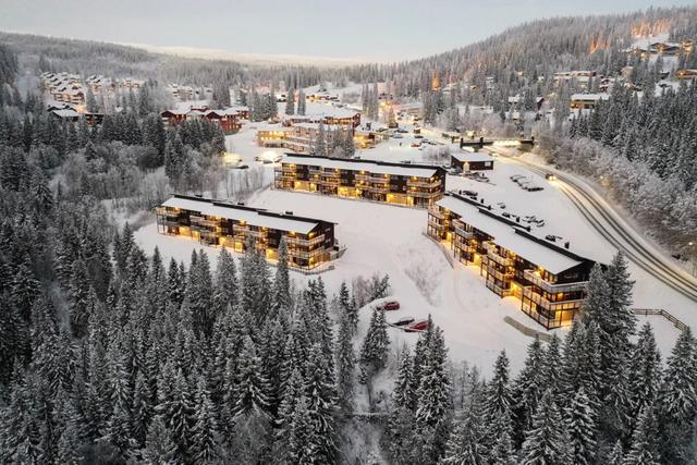 Bear Lodge – billede 3