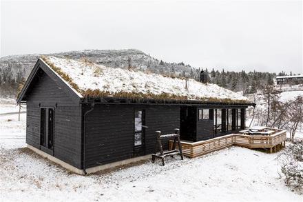 BJØNNLIMORKA 3 – bild 1