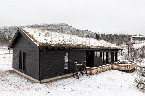 Bjønnlimorka 3 – Kvitfjell