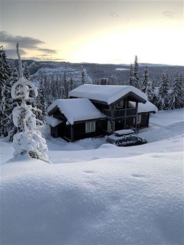 Bjønnliskardet 13 – billede 7