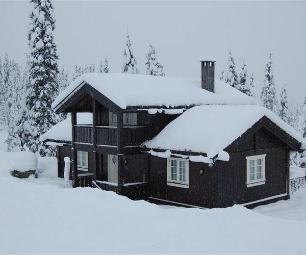 Bjønnliskardet 13