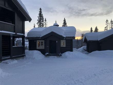 BJØNNLISKARDET 25 – bild 1