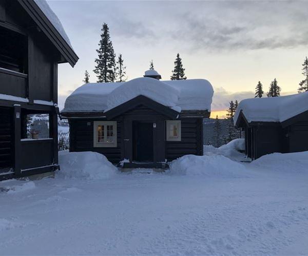Bjønnliskardet 25