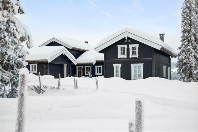 Bjønnlitjønnvegen 17A – billede 2