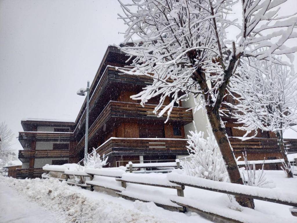 Condominio Giulia (Alba), Canazei
