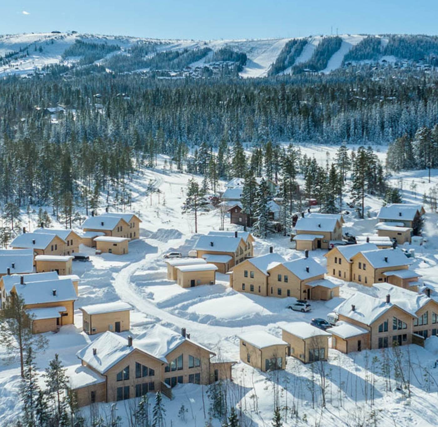 Erk-Olsmyran, Sälen