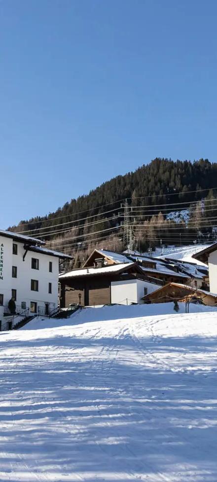 Pension Alpenheim – billede 2
