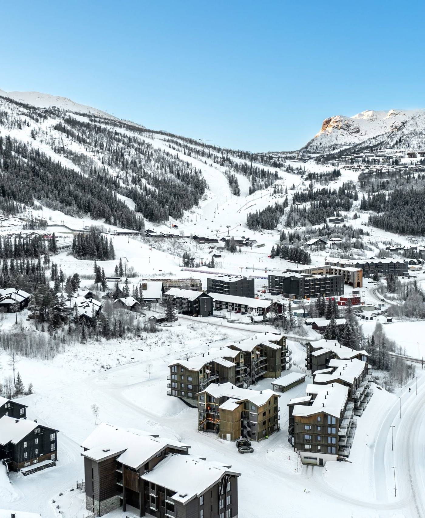 Fjellnest, Hemsedal