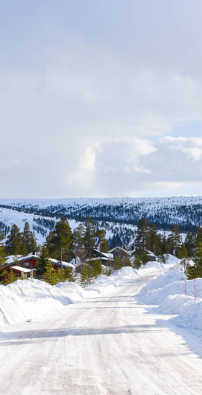 Bakre brännare