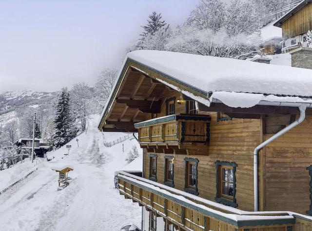 Haus Schneider - Zell am See – billede 2