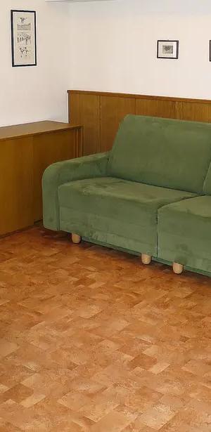 Schuler-huset