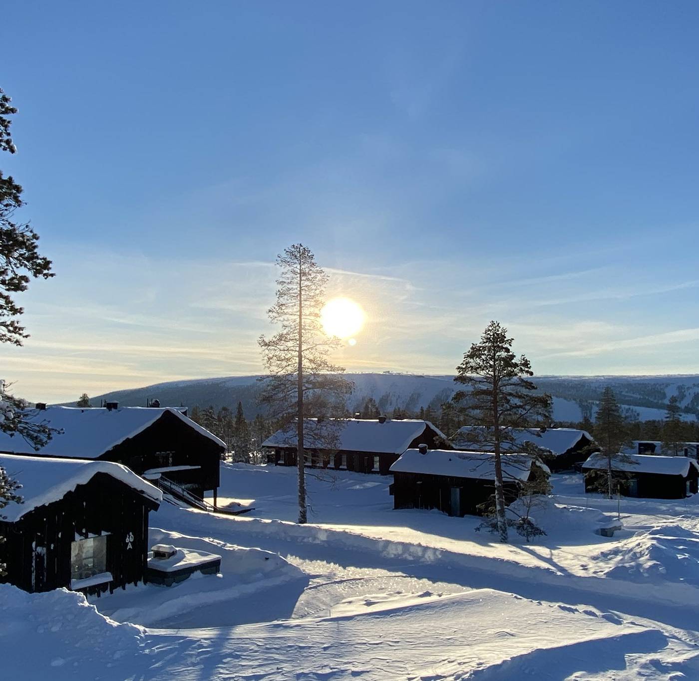 Hills Orrliden, Sälen