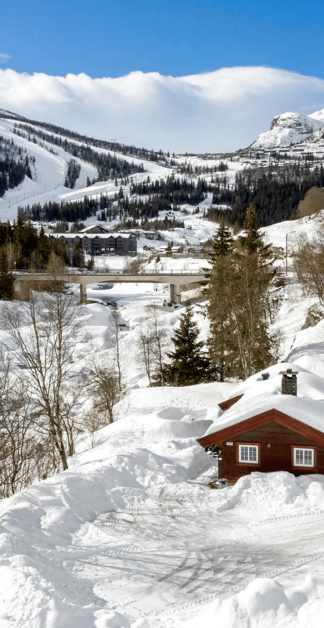 Hemsedal Ski Centre stugor – bild 3
