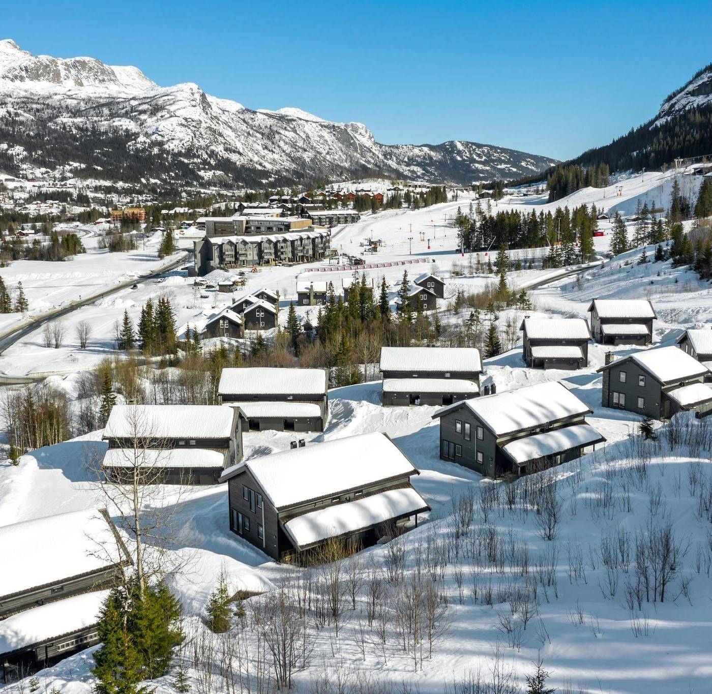 Rådyrlia Hyttegrend, Hemsedal