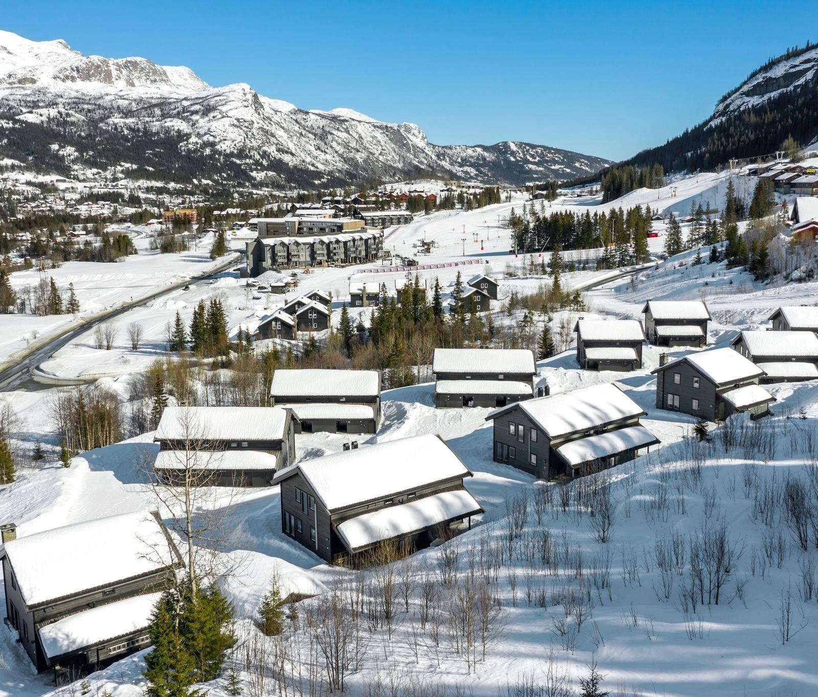 Rådyrlia Hyttegrend, Hemsedal