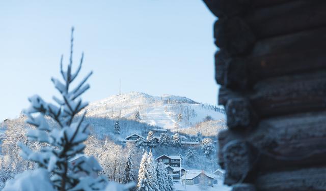 Bardøla Fjelltun – billede 3
