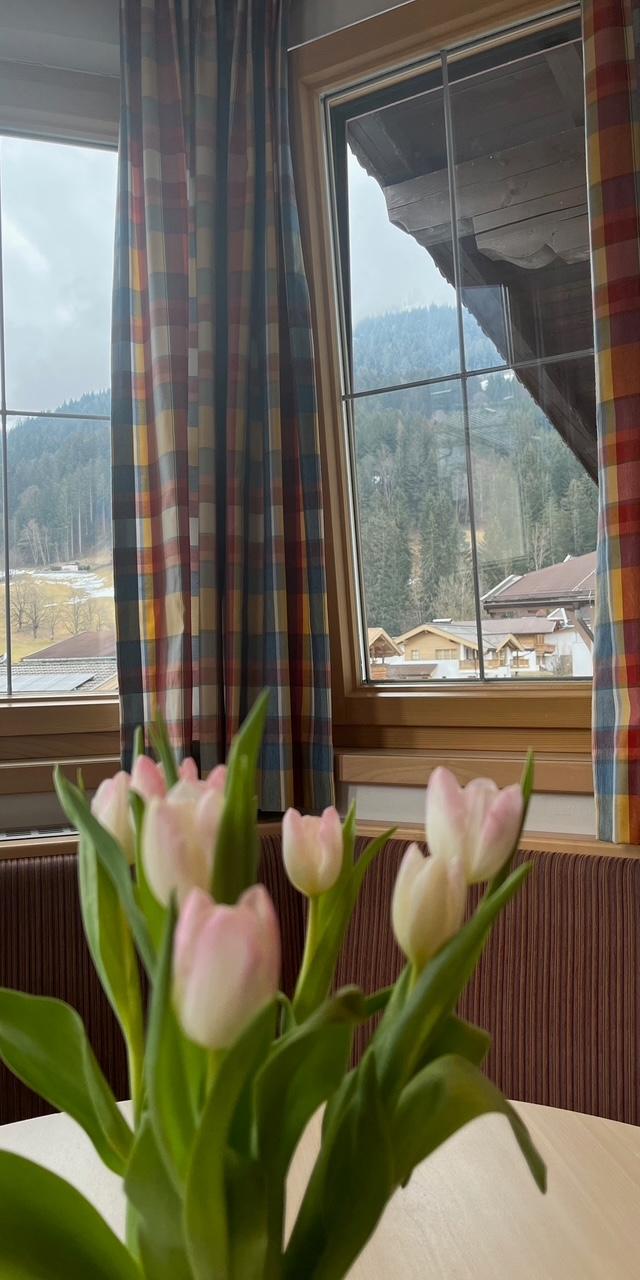 Therese Sportpension – bild 35