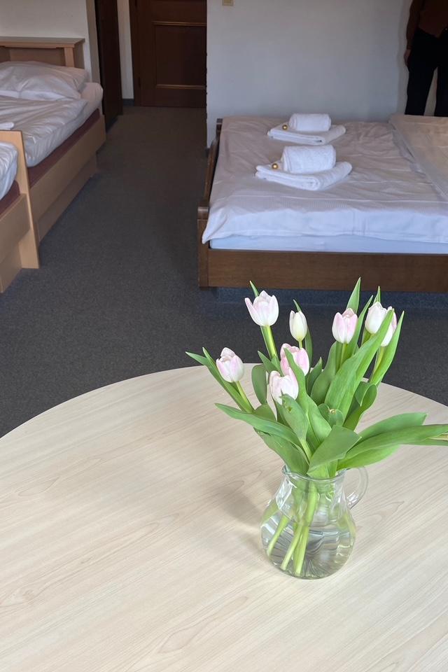 Therese Sportpension – bild 36