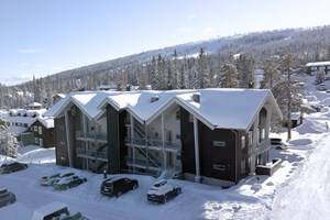 Torglägenheterna, Sälen