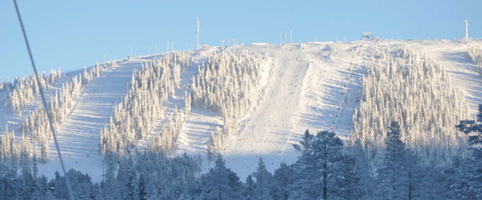 En snötäckt skidbacke på ett berg i Saalbach, kantad av träd som dammas i vitt, under en klarblå himmel. Scenen är upplyst av starkt solljus och framhäver skidbackarna – perfekt för oförglömliga skidresor och skidåkningsäventyr.