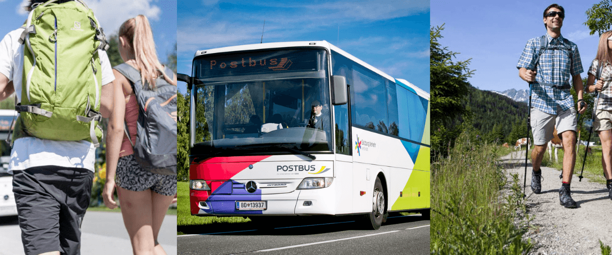 WANDERBUS