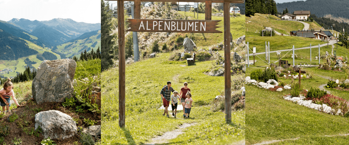 HEILKRÄUTERWEG