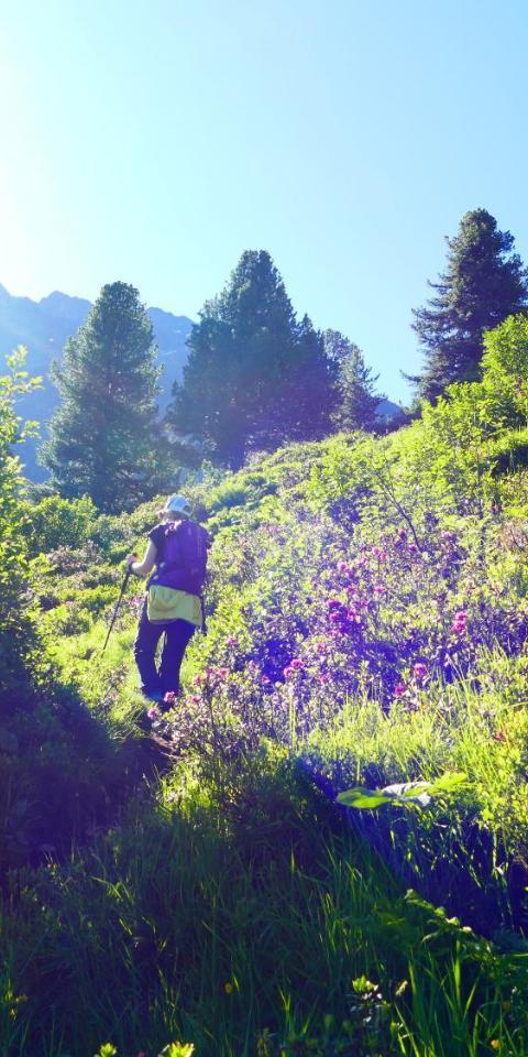 Starla 4 (Adults Only) – St. Anton