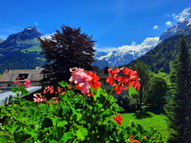 Hotel Sonnwendhof Engelberg – billede 12