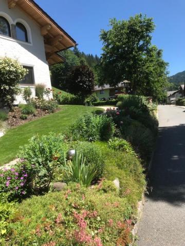 Appartement Holl – billede 31
