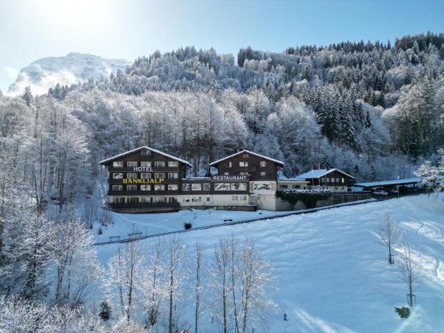 Banklialp – billede 36
