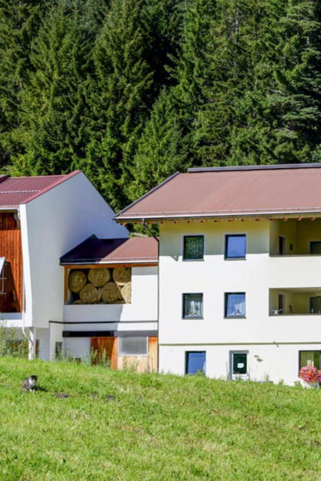 Apartment Schongraben by Interhome – billede 21