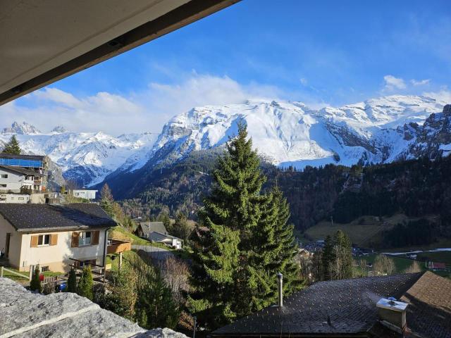 Luxury Escape - Titlis Panorama – billede 6