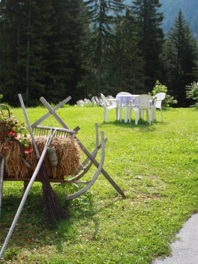 Pension Sattelkopf (Adults Only) – billede 22