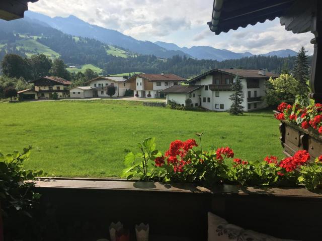 Bergblick – billede 6