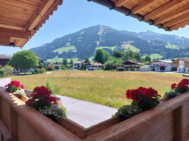 Bergblick – billede 3