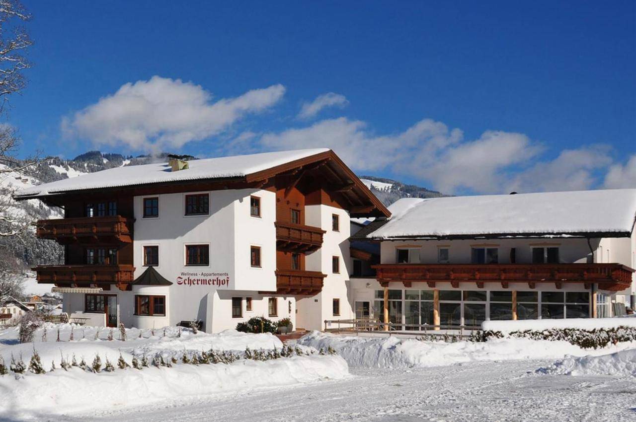 Activ Wellness - Appartement Schermerhof, Westendorf