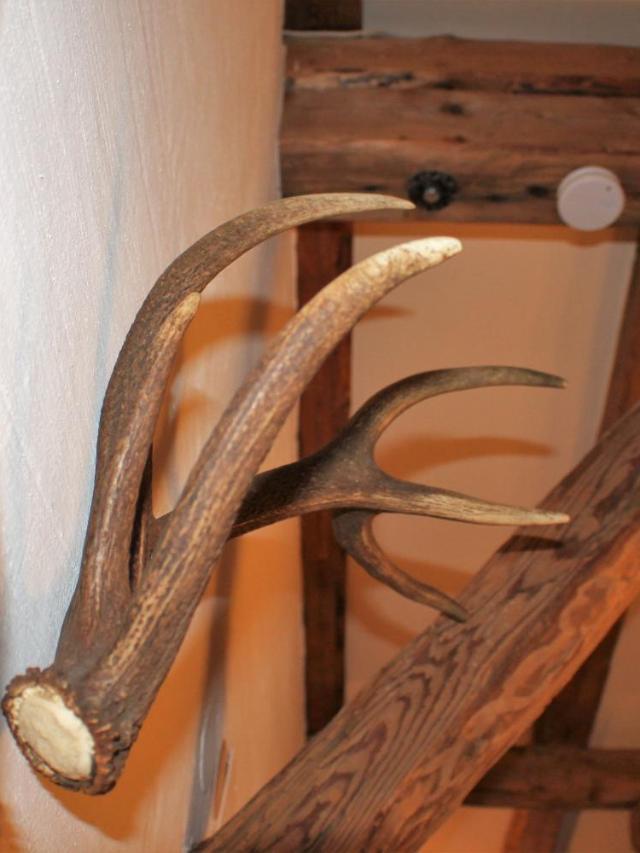 Haus Buchhammer – billede 3