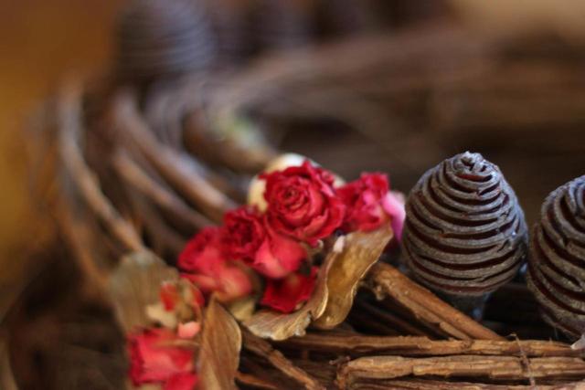 Hotel Rosa Canina – billede 17