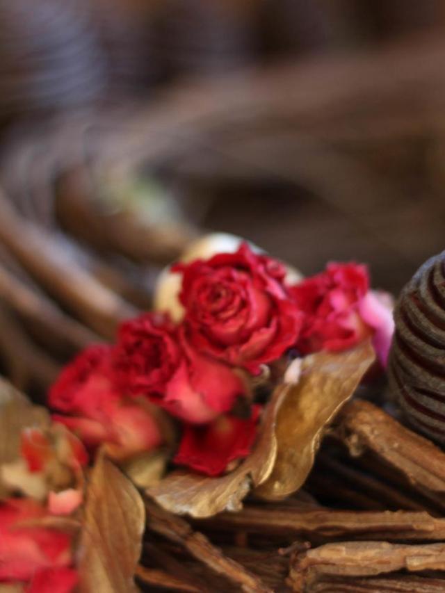 Hotel Rosa Canina – billede 17